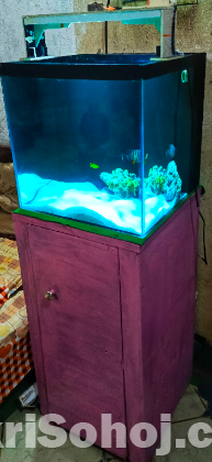 15 cube 6mm crystal backsump aquarium